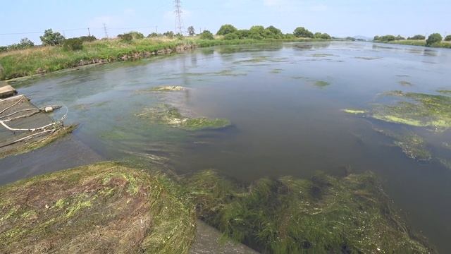 Июльский Сазан смотреть онлайн