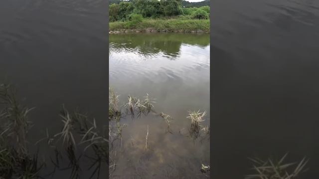 15 сентября 2022 г. смотреть онлайн