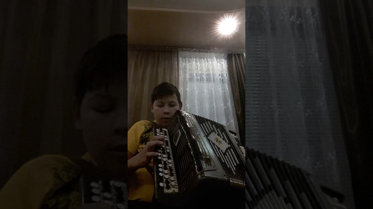 Обучение. Бумер на баяне.