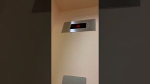 Музыкальный лифт ecomaks ЩЛЗ в поликлинике.