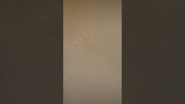 13 ноября 2022 г. смотреть онлайн