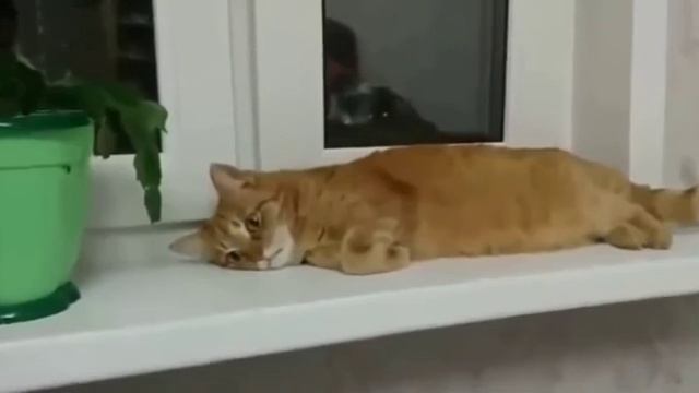 Когда понял смысл жизни смотреть онлайн