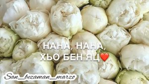 Нана, Нана, хьо цхьаъ ю. Песня - для мамы