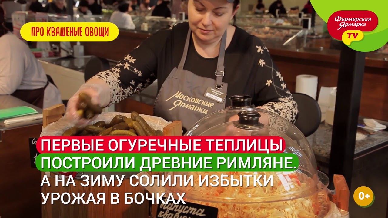 Интересные факты о квашеных овощах