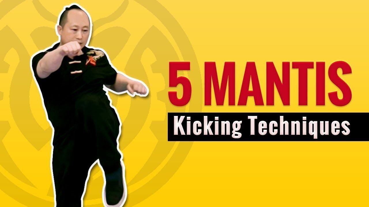 Top 5 Kung Fu Kicking Techniques for Praying Mantis смотреть онлайн