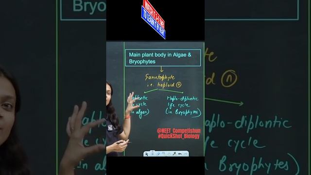 Algae & Bryophytes are haploid or diploid?? | QuickShot Biology | #medicalentrance#ncert #neet2025