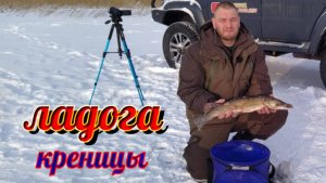 Ладога. Креницы. Ловля щуки и налима на жерлицы. 2021 г.