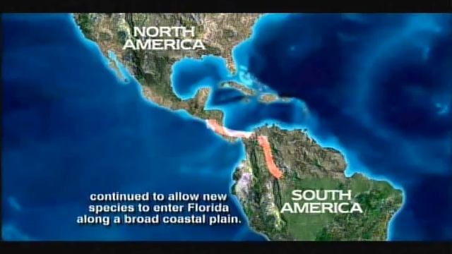 Pleistocene Epoch - Florida Fossils: Evolution of Life and Land
