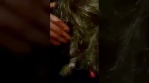 "В Азербайджане поймали домового похожего на обезьянку" -  5 лет прошло, и неизвестно что это было