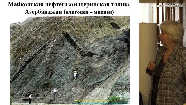 Соболева Е.В. - Геология и геохимия горючих ископаемых - 22. Нефтегазоматеринские породы. Часть 1