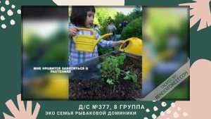 Эко семья Рыбаковых