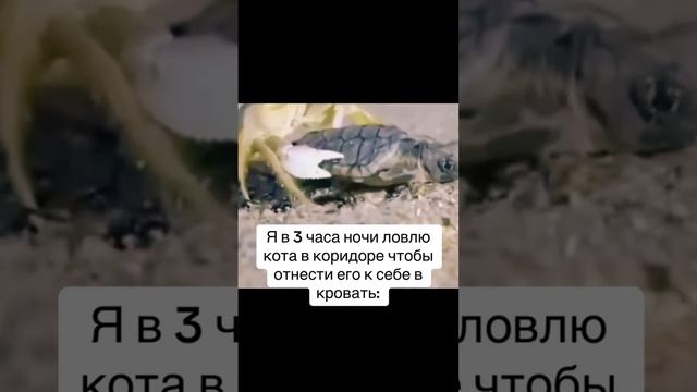 просто не хочется спать в одиночестве