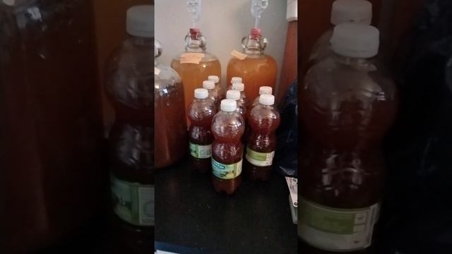 #andyshomebrewkitchen Treacle Ale update смотреть онлайн