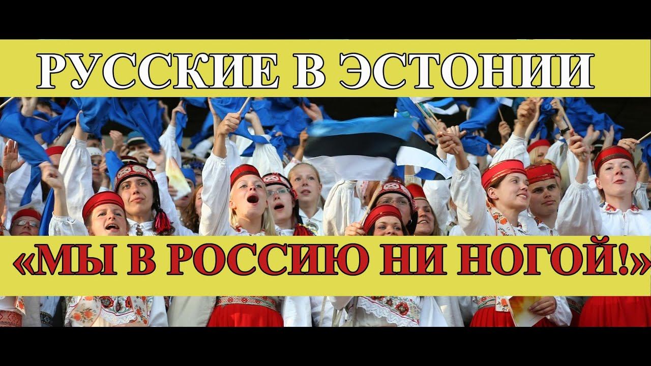 ПОЧЕМУ РУССКИЕ В ЭСТОНИИ НЕ ХОТЯТ В РОССИЮ