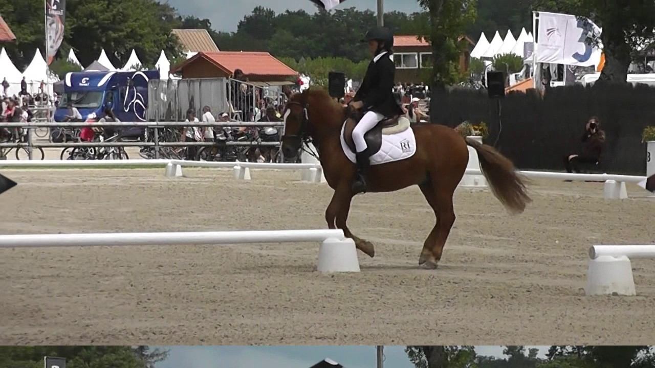 Lamotte 2017 - CCE Poney2 - Dressage - Jeanne & Joly Coeur - le 13 juillet 2017 смотреть онлайн