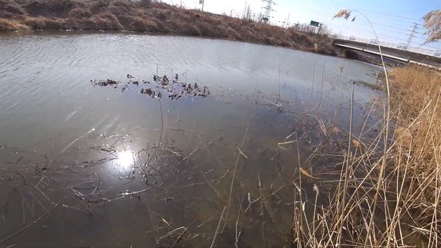 Охота на карасей(slingshot fishing) смотреть онлайн