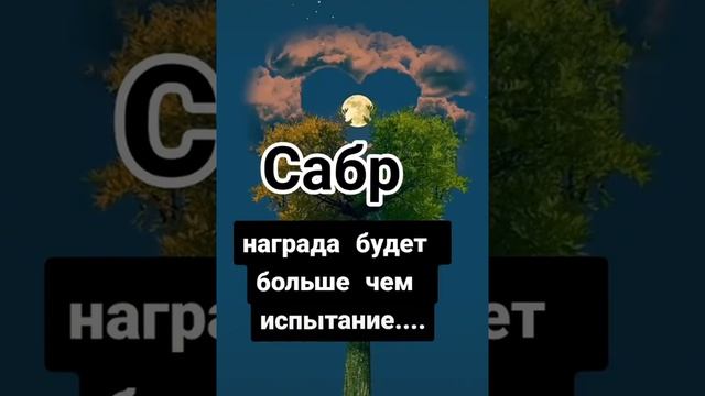 Сабр (Терпение)