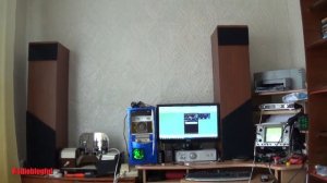 Двухтактный усилитель на ГУ29 по мотивам Lynx VTA39. Тесты и прослушка