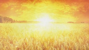 Как проходит пробуждение (просветление)? Личный опыт. Похищение серых. Часть 8