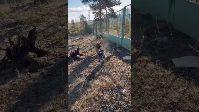 2 мая 2024 г. смотреть онлайн