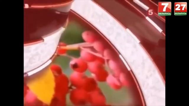 Выпуск 23 - Рекламные Заставки "ПЯТОГО КАНАЛА" (2015-2021)