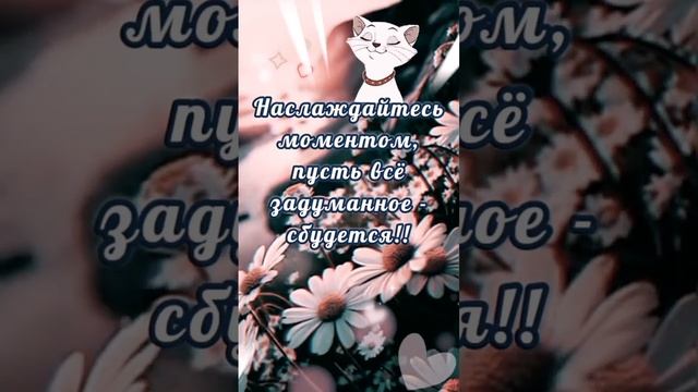 ❤️ смотреть онлайн