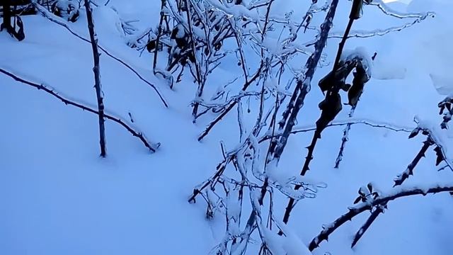 Лед и снег-просто сказка! смотреть онлайн