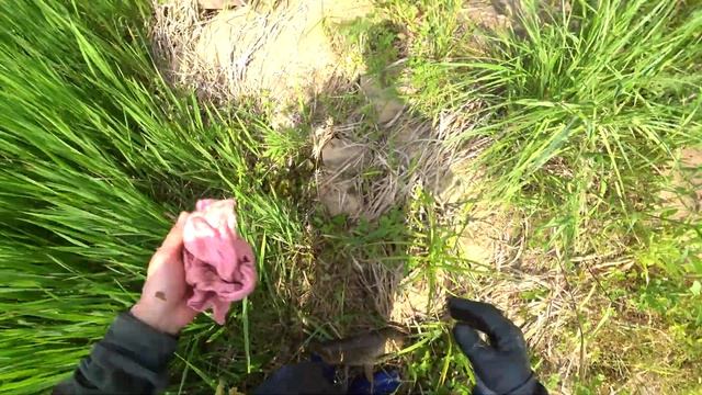 Майский выход на сазана смотреть онлайн