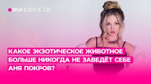 Какое экзотическое животное больше никогда не заведёт себе Аня Pokrov?