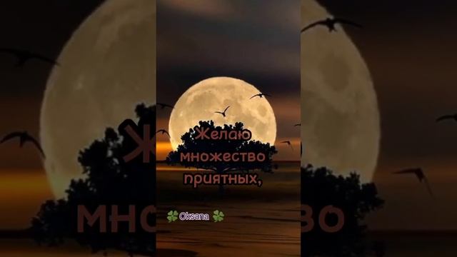 Спокойной ночи.