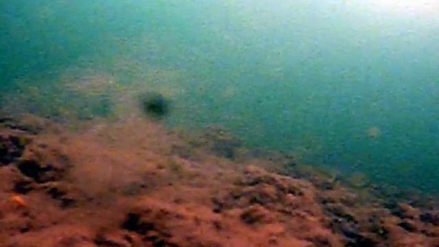 Окунь подо льдом смотреть онлайн