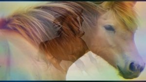 Нашид лабайк