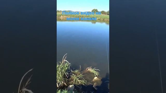 28 сентября 2022 г. смотреть онлайн