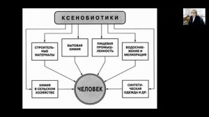 Основные виды антропогенных воздействий на окружающую среду и их последствия