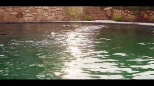 BIOTOP Natural Pools - The BIOTOP Living-Pool (english, UK)