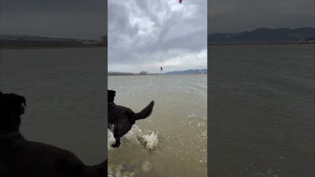 Кайт школа в Анапе и Новороссийске - RUSSIAN WIND.