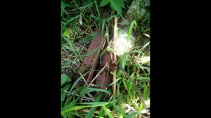 Летний коп чермета