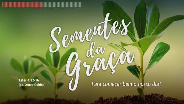 Ester 4:12-16 (pb. Osmar Quirino) смотреть онлайн