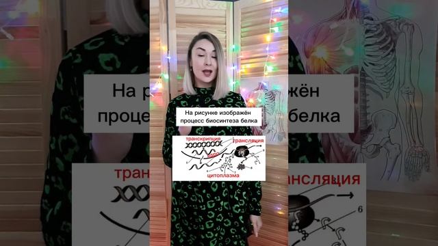 #репетиторпобиологии #размножение #биологияегэ#биосинтезбелка#транскрипция#трансляция