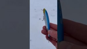 Duel Hardkore Minnow Flat 130 SP класика твічінгу #beregfishing #fishing #bereg #duel #галаш