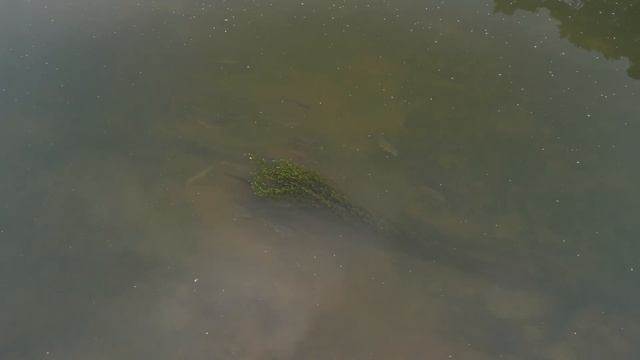 Теперь вы знаете,почему рыба не клюет смотреть онлайн