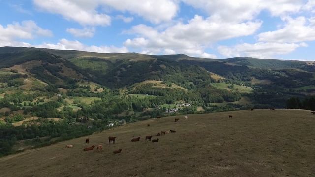 Sustainable agroecosystems in a context of global change смотреть онлайн