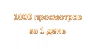 1000 просмотров за 1 день