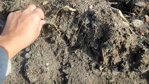 Дневной поиск металла на свалках