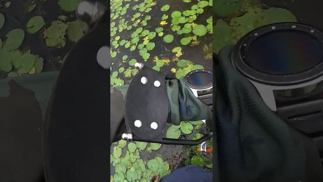 Ушёл сазан #slingshotfishing #охотасрогаткой #рыбалка #охота #рыбалкасрогаткой #carpfishing смотреть онлайн