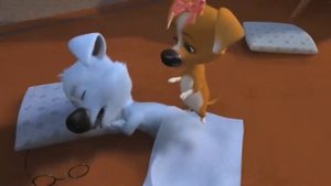 Бебра и срелка RYTP