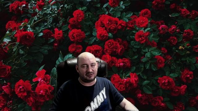 ХОЛОСТЯК21 ПРО ТРАНСОВ смотреть онлайн