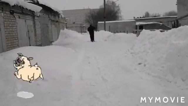 Мы с Олимпом готовимся к большому спорту.