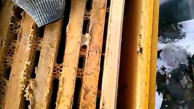 Подготовка пчёл к зимовке. 2 часть.