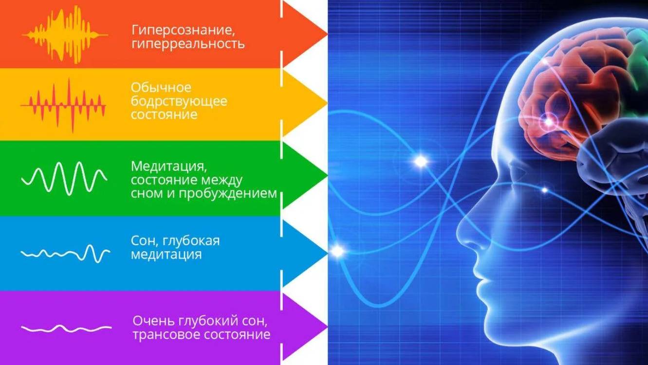 Что такое гипноз. Ритмы мозга и как мозг работает